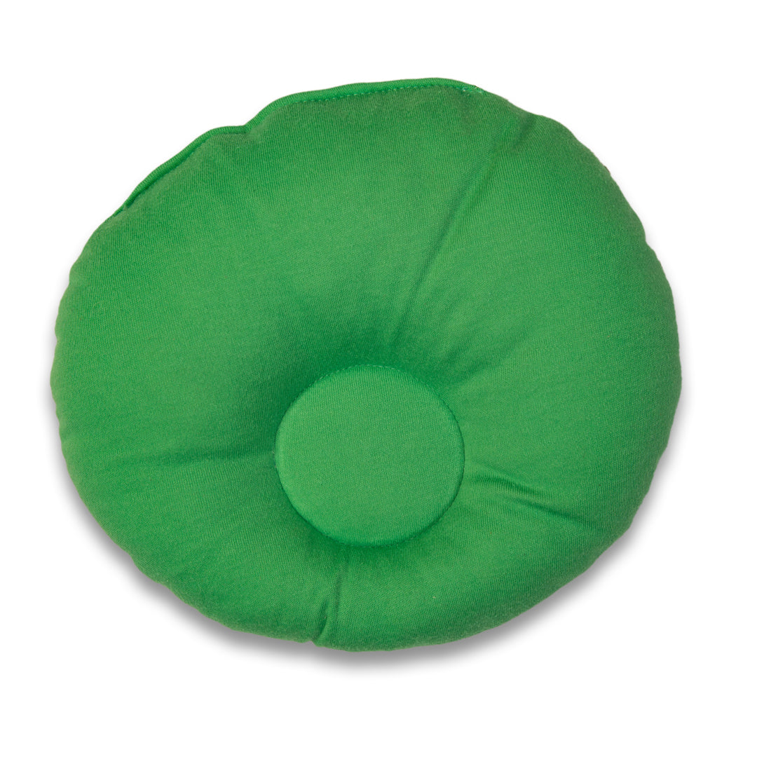 Baby Pillow - Dinosaur Print