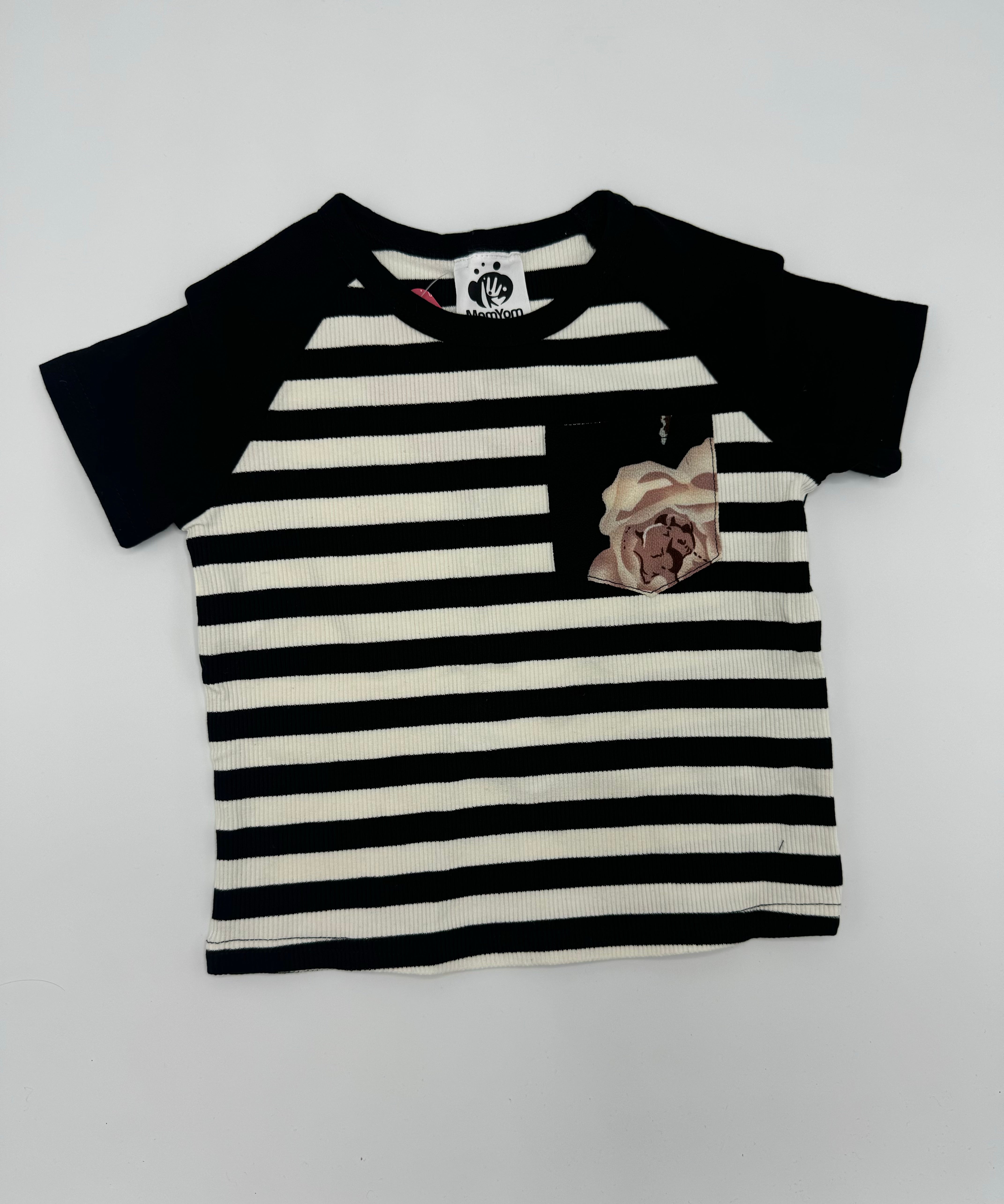 Striped Half Sleeves T-Shirt