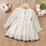 Toddler Girl Faux Layered Lace and Mesh Design Fairy Dress