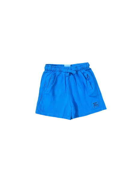 Blue Zara branded Shorts