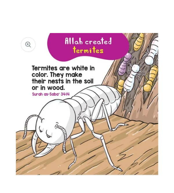 Birds and Insects in the Quran – Quran Stories for Kids (Board Book, Wipe & Clean Pages)