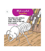 Birds and Insects in the Quran – Quran Stories for Kids (Board Book, Wipe & Clean Pages)