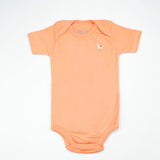 BODY SUIT PK3 12-18M PEACH ELEPHANT