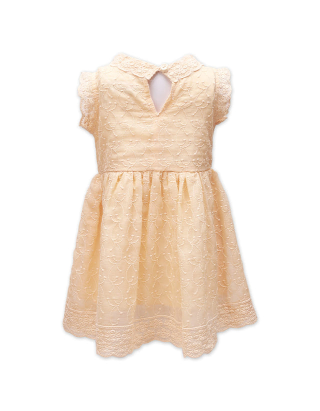 Frock A Line Chicken Pink Toddler
