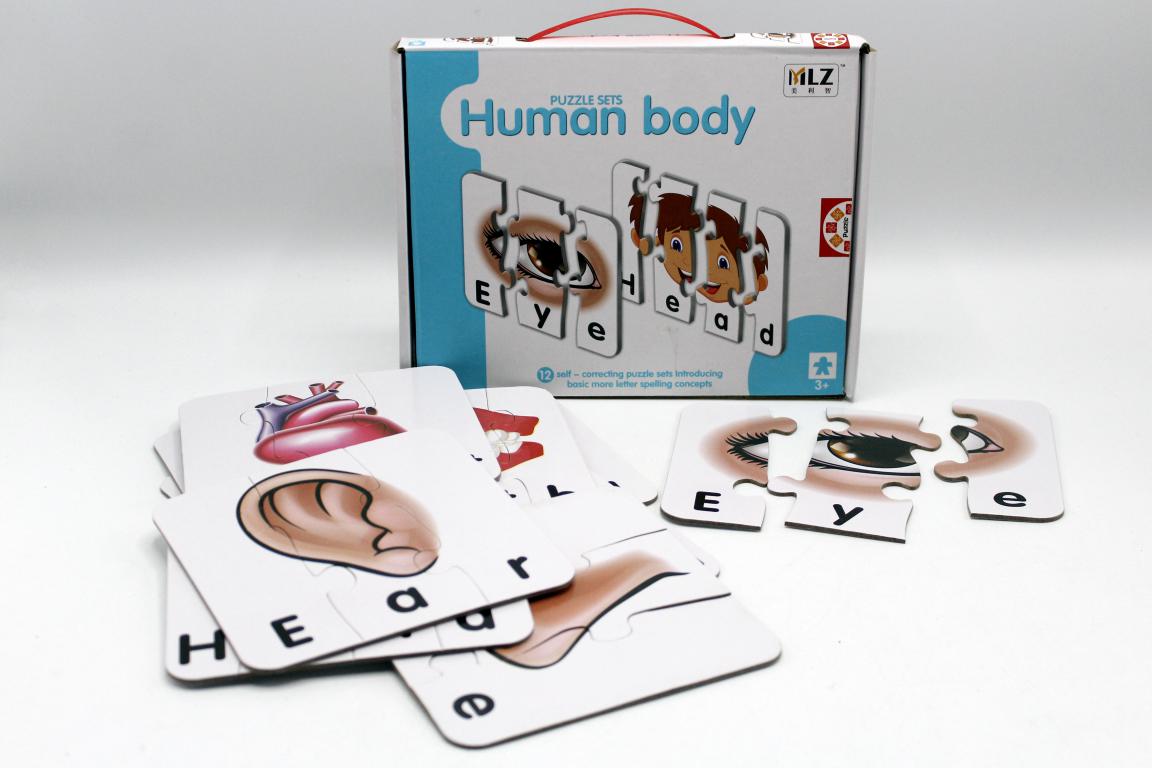 Puzzle Sets Human Body (99009)