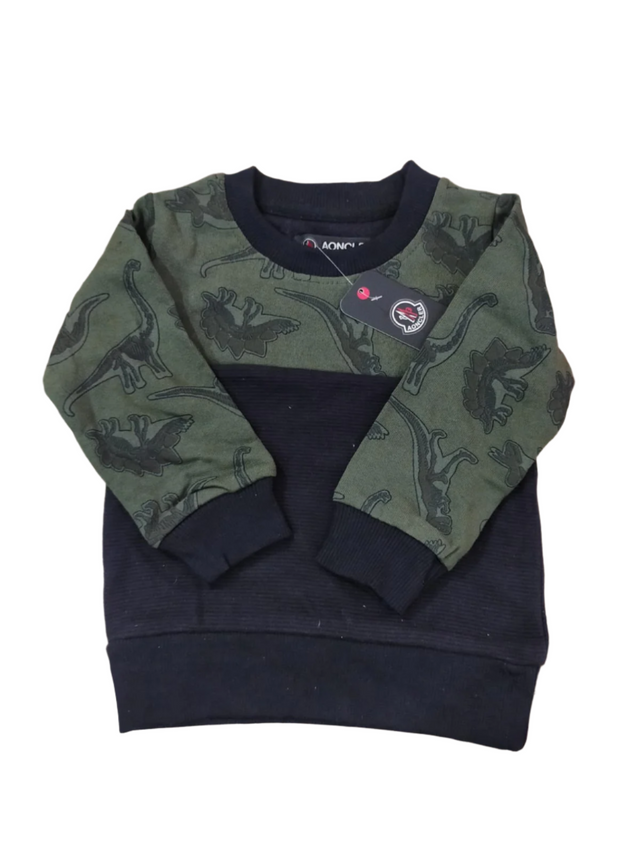 Dino sweatshirt for baby boys
